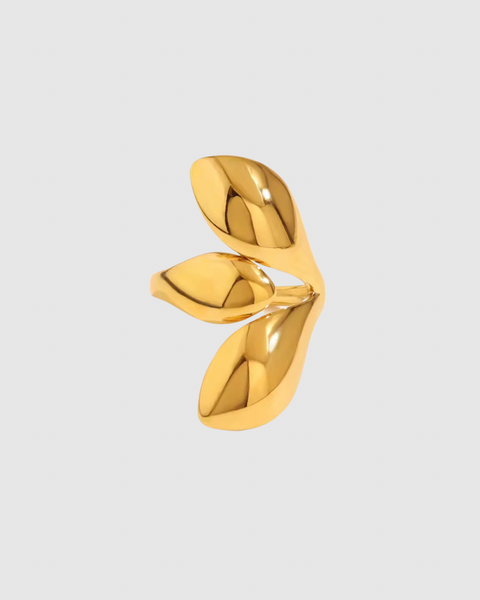 Bold Statement Ring - Silver & Gold