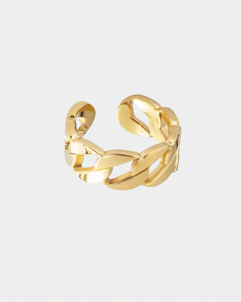 Chain Ring - Gold & Silver