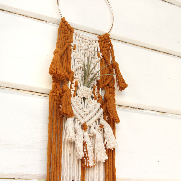 Macrame Air Plant Holder with Tassels - Sophia - White & Mustard - Bohemian Home Decor Wall Hanging