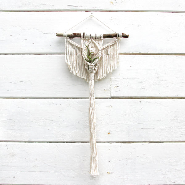 Macrame Air Plant Holder - Angel with an Eye - White - Bohemian Home Decor Wall Hanging