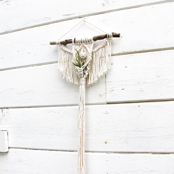 Macrame Air Plant Holder - Angel with an Eye - White - Bohemian Home Decor Wall Hanging