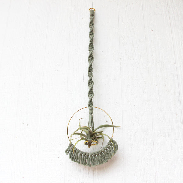 Macrame Air Plant Holder with Tassels - Sage - Bohemian Home Decor Wall Hanging