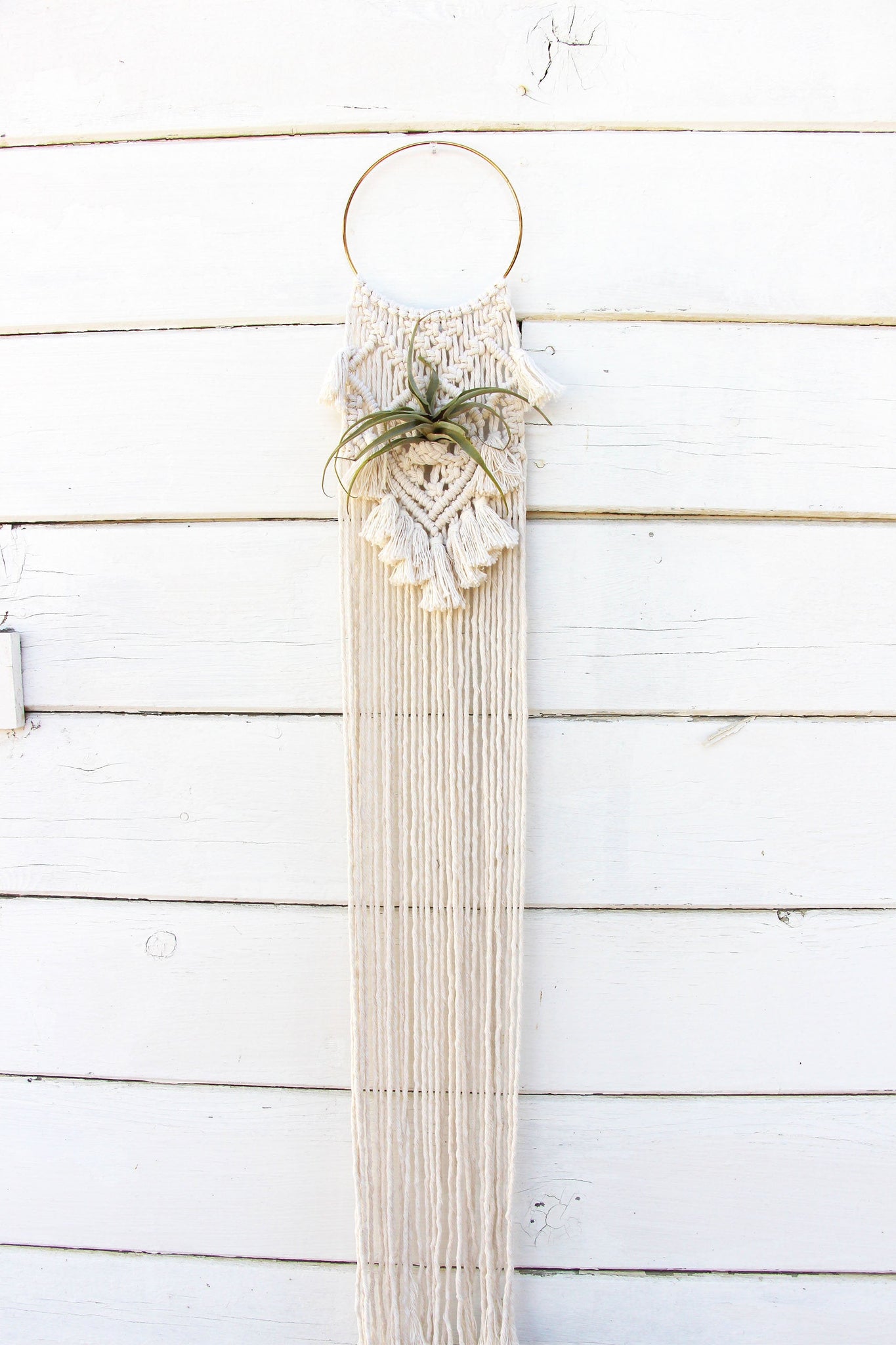 Macrame Air Plant Holder with Tassels - Sophia - White - Bohemian Home Decor Wall Hanging