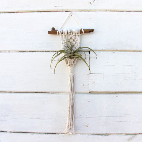 Simple Macrame Air Plant Holder - White - Bohemian Home Decor Wall Hanging